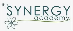 the Synergy Academy